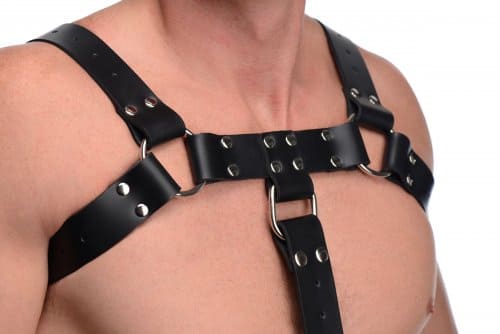 Bull Dog Body Harness Close Up