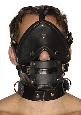 Blindfold Muzzle and Gags Headharness