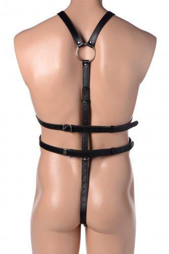 Male Full Body Harness Back View