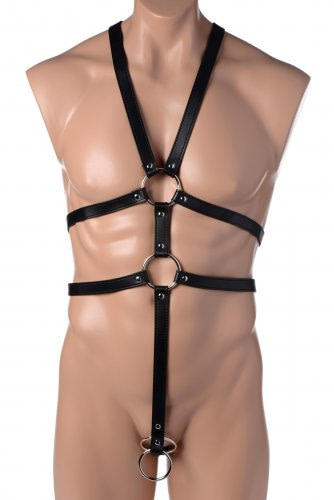 Male Full Body Harness Front View