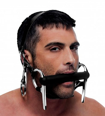 Silicone Bit and Bridle Head Harness