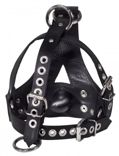 head harness with removable gag back view