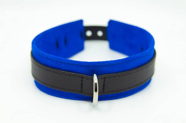 Large & Incharge Submissive Training Collar Blue
