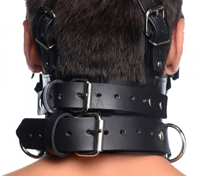 Leather Head Harness with Removeable Gag Back view
