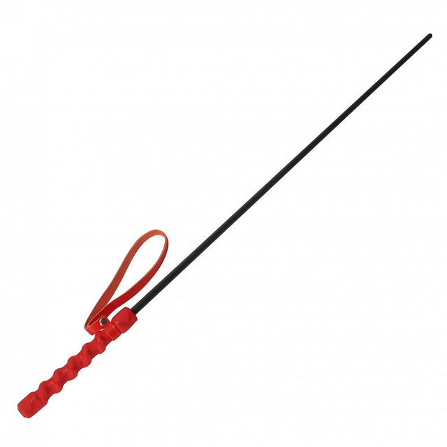 Impact Cane Red Handle