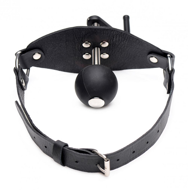 Open Wide Cranking Ball Gag Top View