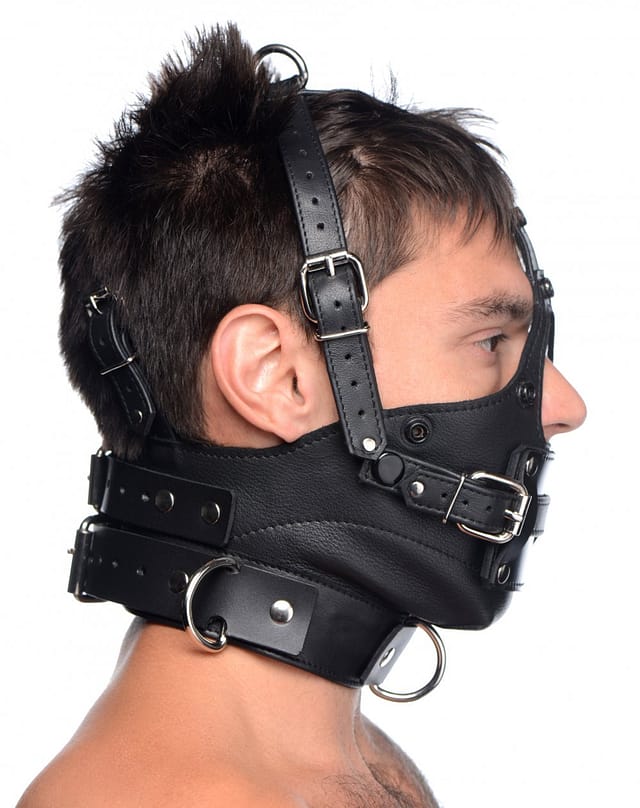 Leather Head Harness with Removeable Gag Side View without blindfold
