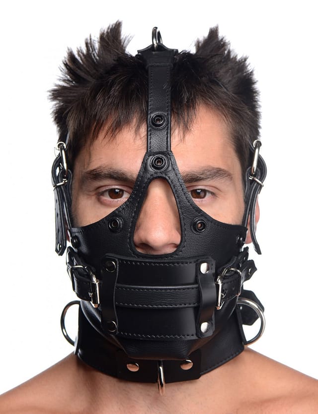 Leather Head Harness with Removeable Gag Front View Gaged
