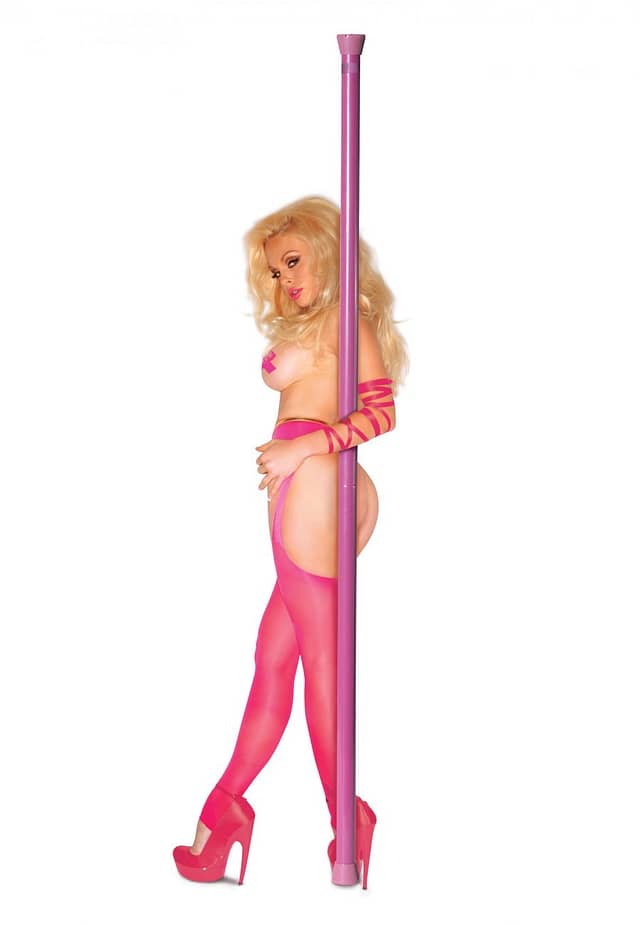 Dance Pole With Model