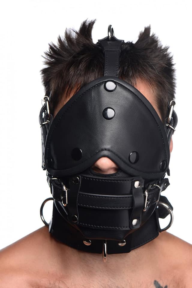 Leather Head Harness with Removeable Gag Front View