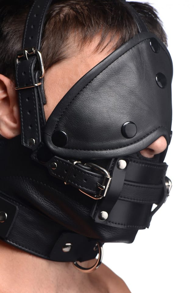 Leather Head Harness with Removeable Gag Side View