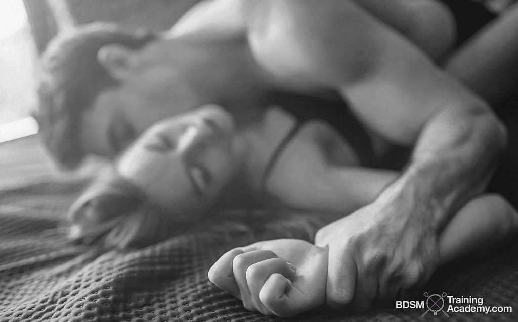 BDSM Fantasy An Ordinary Submissive Day