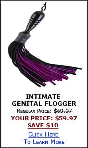 Intimate Flogger Sale