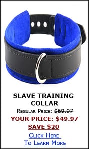 Slave Collar Sale