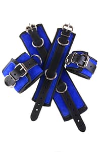 Bed Restraints