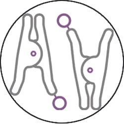 BDSM Clamps & Clips Icon