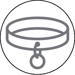 BDSM Submissive Collar Icon