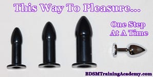 Slave Anal Training Toys
