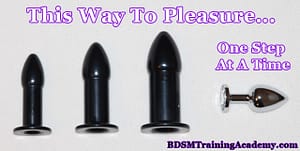 Slave Anal Training Toys