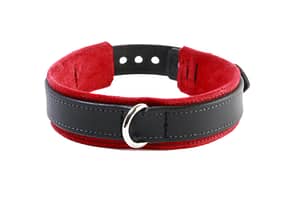 Red Leather Slave Collar