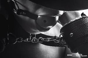 Submissive Communication In BDSM