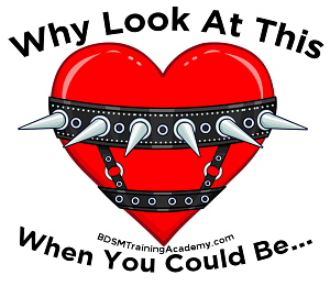 When You Could Be BDSM Valentines