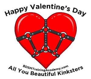 A BDSM Training Academy Valentines