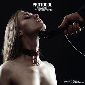 Protocol Rewards And Punishments In BDSM