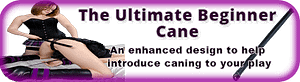 BDSM Beginner Cane