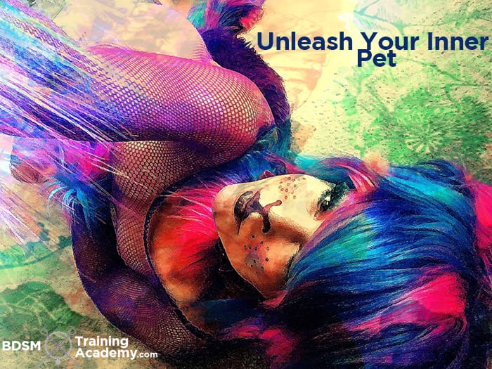 Intro To Pet Play In BDSM