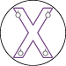 BDSM St Andrews Cross Icon