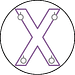 BDSM St Andrews Cross Icon