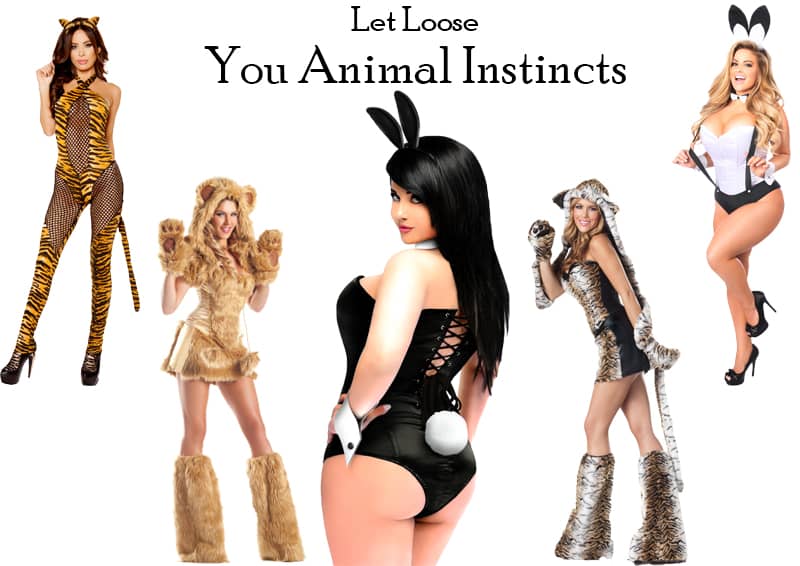Let Loose Your Pet Play Costumes
