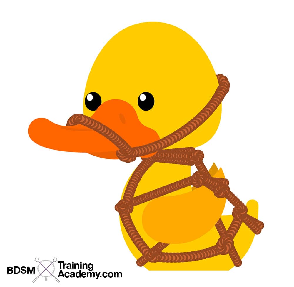 Rubber Ducky In Bondage