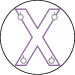 BDSM St Andrews Cross Icon