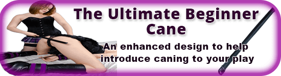 BDSM Beginner Cane