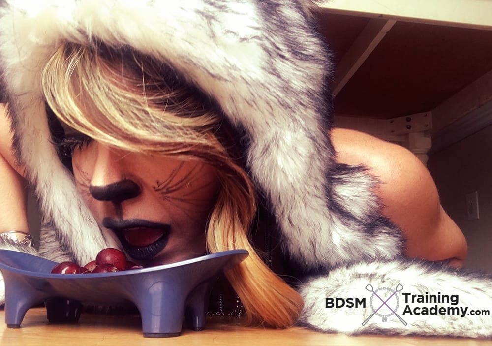 BDSM Kitten Eating Out Of Her Bowl In Pet Play