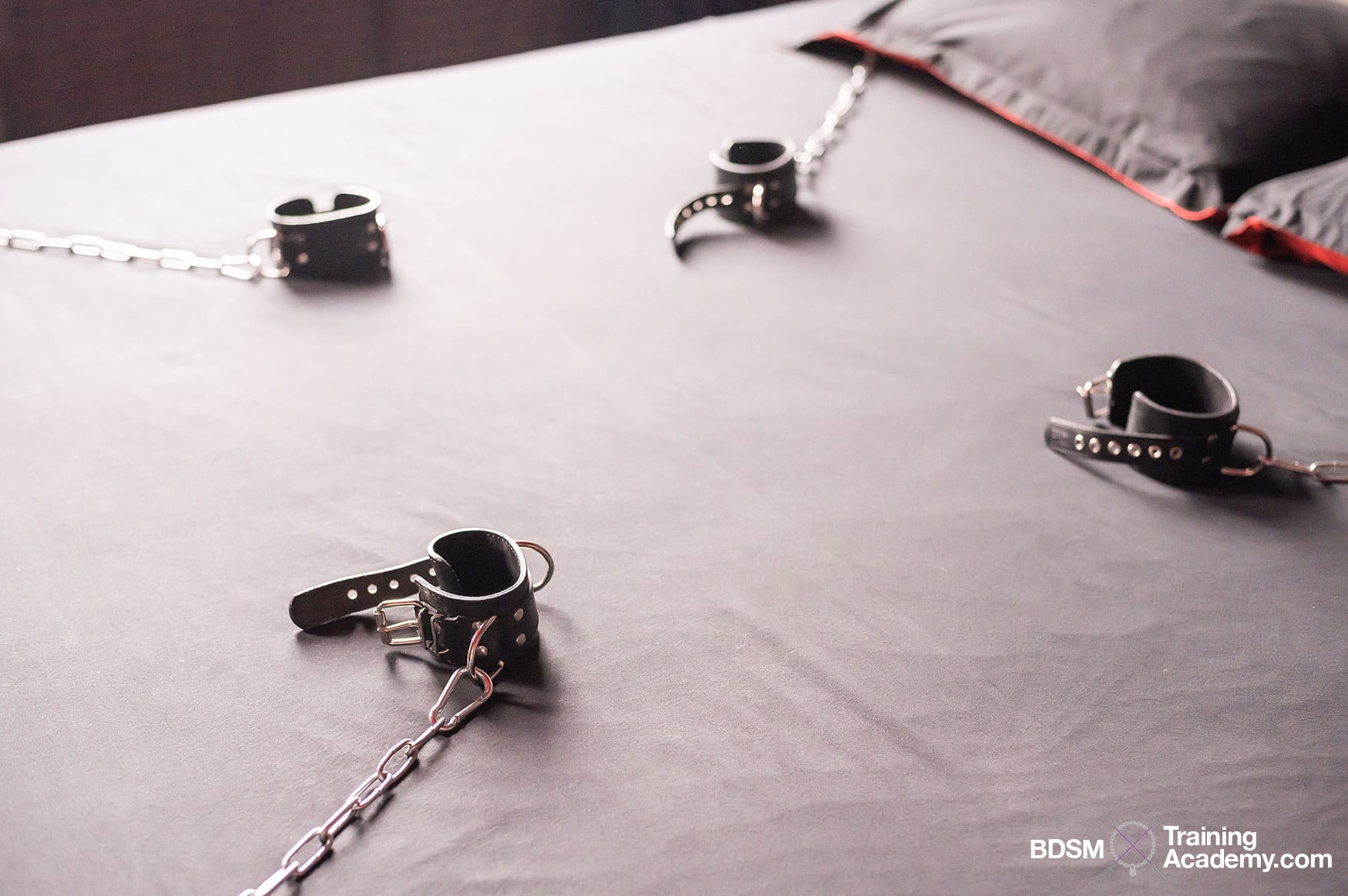 What Do You Choose BDSM Bondage