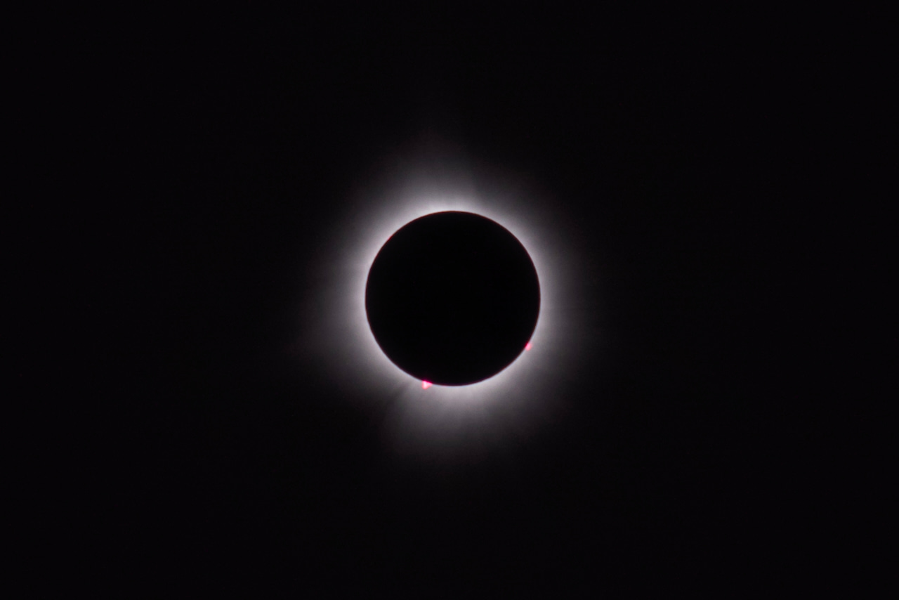 Master M Author Bio Image