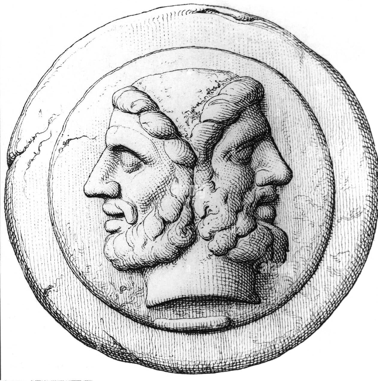 Janus E author bio image