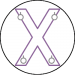 BDSM St Andrews Cross Icon